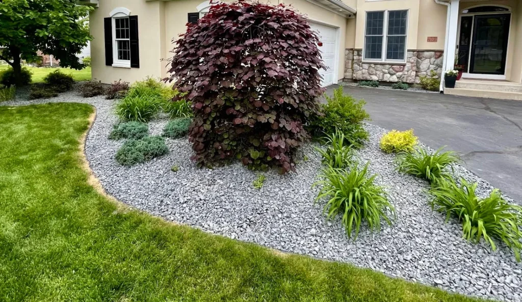 Clutter Clear Services landscaping reviews Amber after result