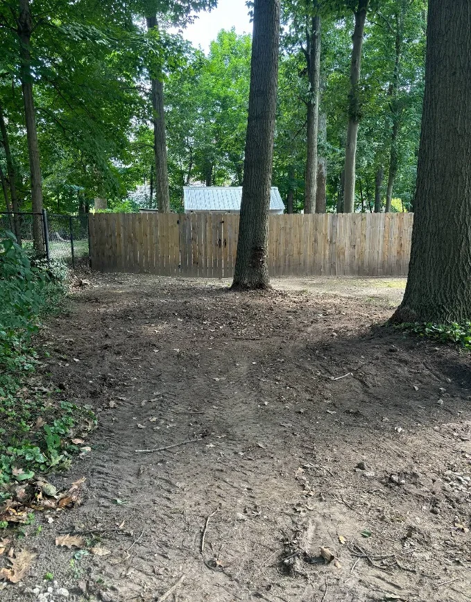 Clutter Clear Services landscaping reviews Tina after result